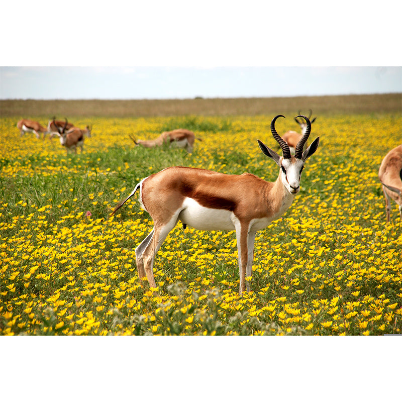 Photography Animal Pattern Mildew Wall Mural Horizontalt for Living Room