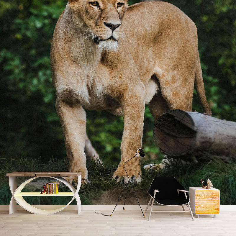 Photography Animal Pattern Mildew Wall Mural Horizontalt for Living Room