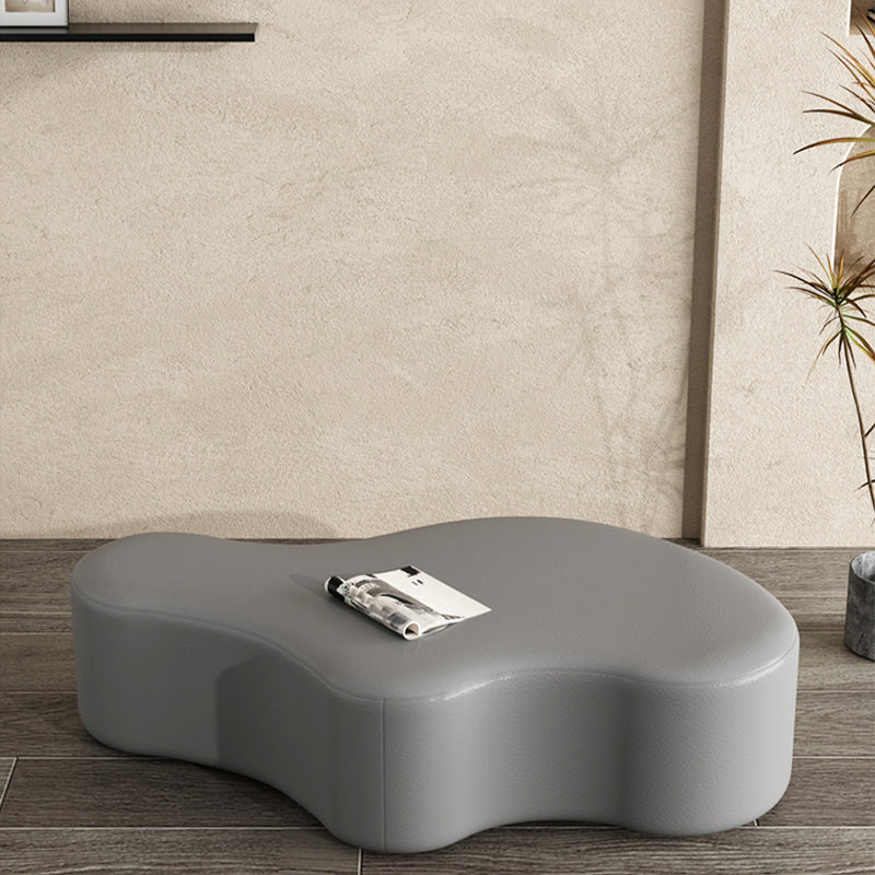 Modern Bedroom Entryway Bench Solid Wood Upholstered Seating Bench