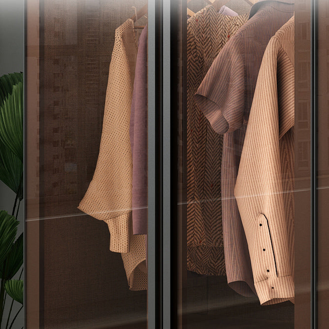 Modern Wardrobe Cabinet Glass and Engineered Wood Wardrobe Closet
