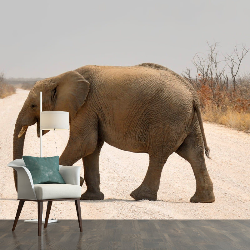 Animal Cute Photography Pattern Mildew Wall Mural Horizontalt for Living Room