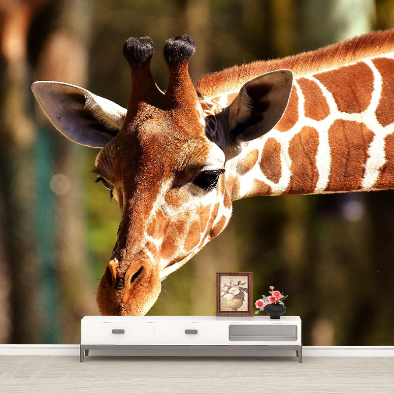 Animal Cute Photography Pattern Mildew Wall Mural Horizontalt for Living Room