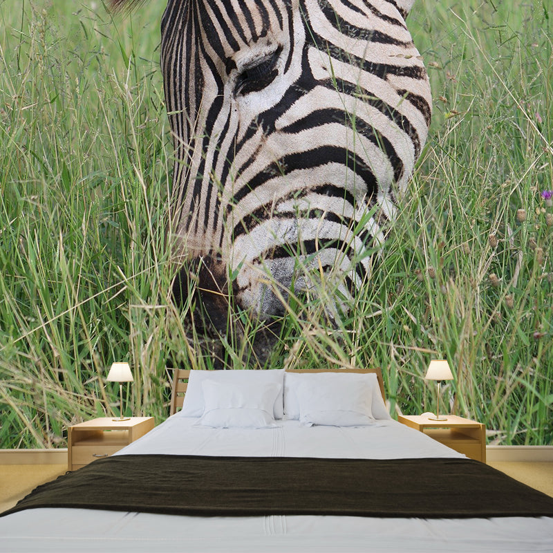 Animal Cute Photography Pattern Mildew Wall Mural Horizontalt for Living Room