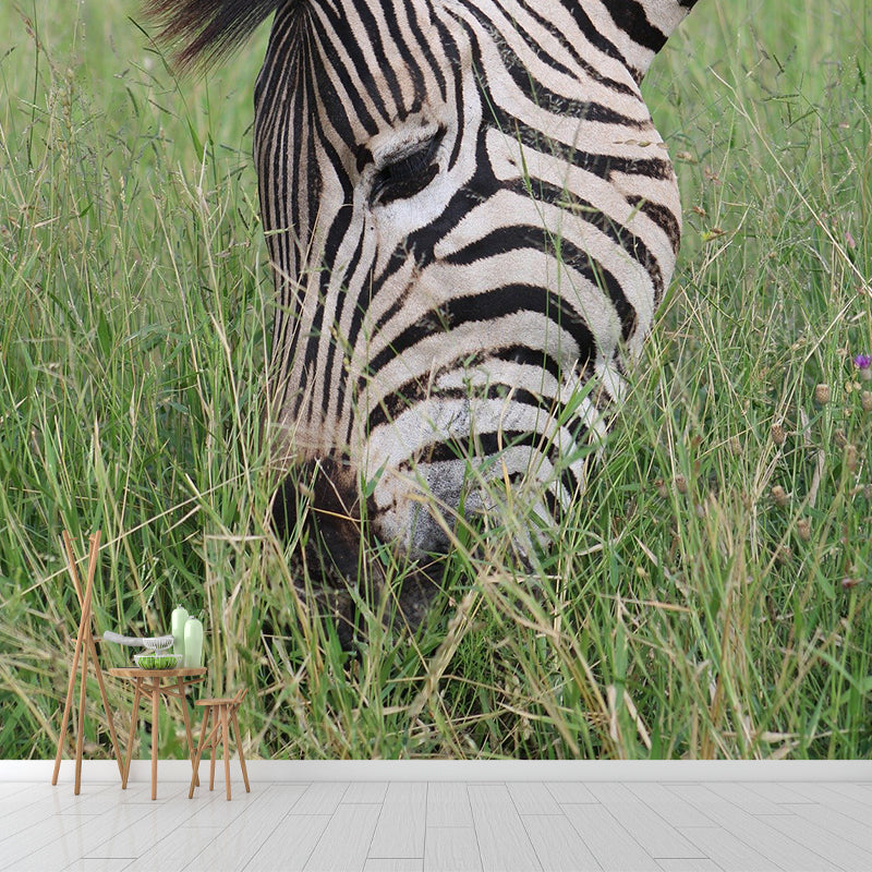 Animal Cute Photography Pattern Mildew Wall Mural Horizontalt for Living Room