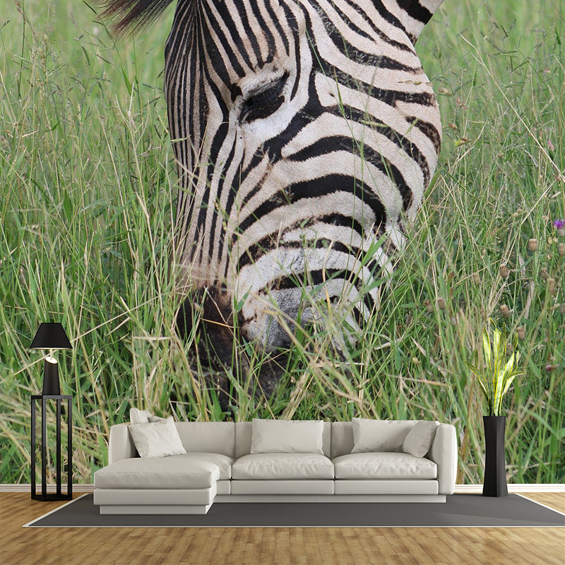 Animal Cute Photography Pattern Mildew Wall Mural Horizontalt for Living Room