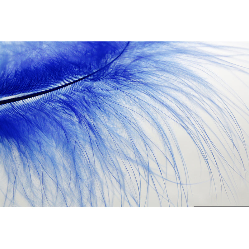 Feather Printed Photography Wall Mural Environmental Indoor Stain Resistant