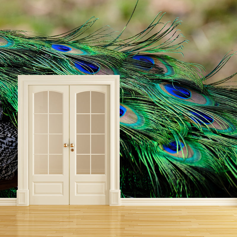 Peel and Stick Wallpaper Mildew Resistant Photography Feather Print Contemporary