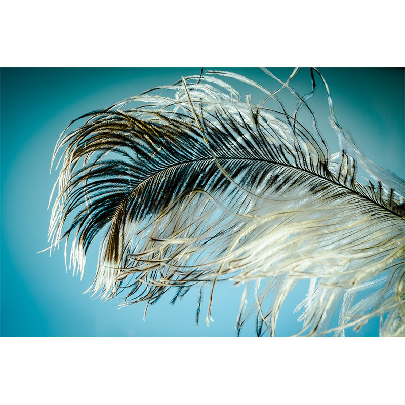 Environmental Feather Pattern Peel and Stick Wall Mural Indoor Photography Stain Resistant