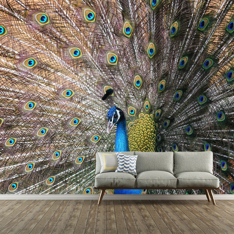 Feather Printed Peel and Stick Wallpaper Photography Bedroom Modern Moisture Resistant