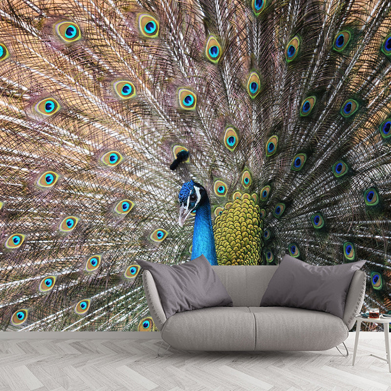 Feather Printed Peel and Stick Wallpaper Photography Bedroom Modern Moisture Resistant