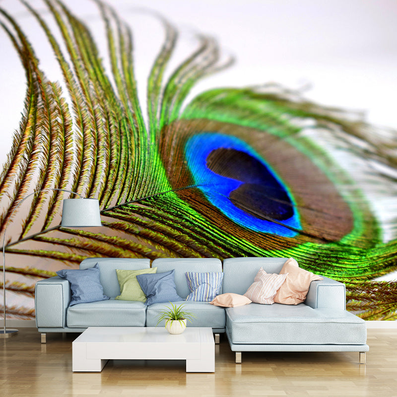 Feather Printed Peel and Stick Wallpaper Photography Bedroom Modern Moisture Resistant