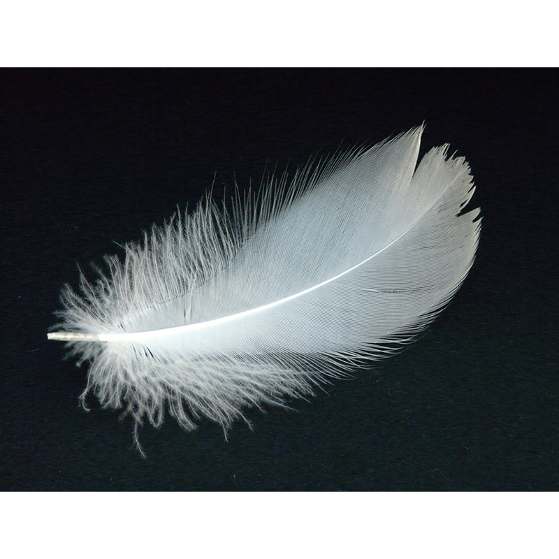 Contemporary Feather Print Stain Resistant Photography Indoor Wallpaper Decorative