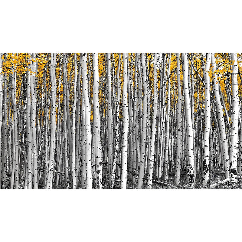 Big Photo Style Simple Mural for Home Decoration with Birch Tree Design in Grey and Yellow