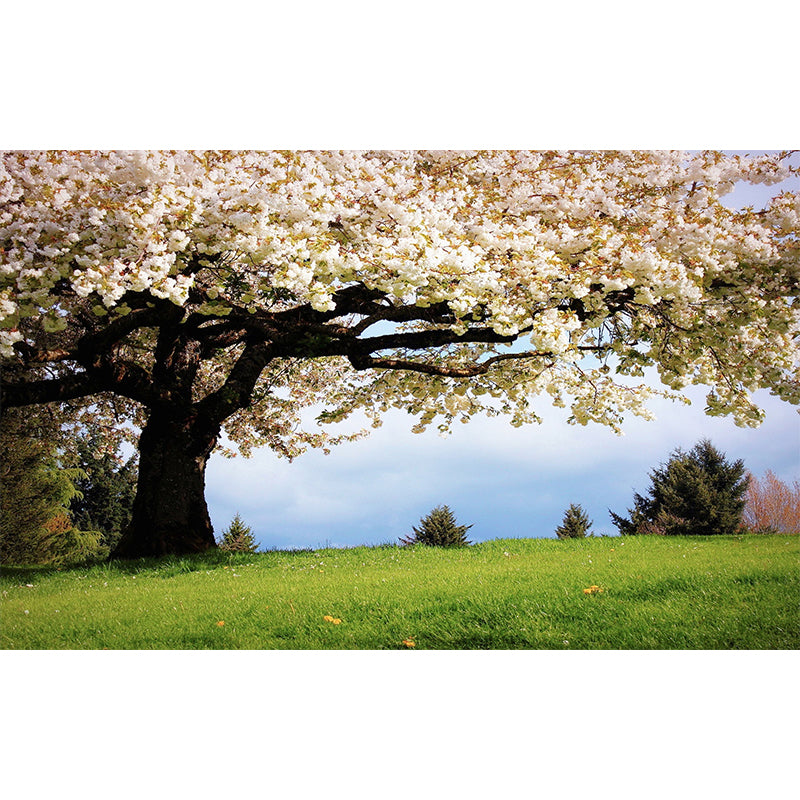 Beige and Green Minimalist Mural Wallpaper Personalized Size Sakura Blossom Wall Decor for Guest Room