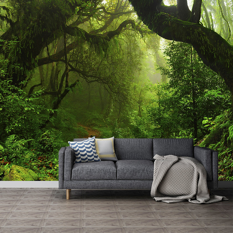 Fresh Jungle Mural Wallpaper for Office Room Contemporary Wall Decor, Personalized Size Available