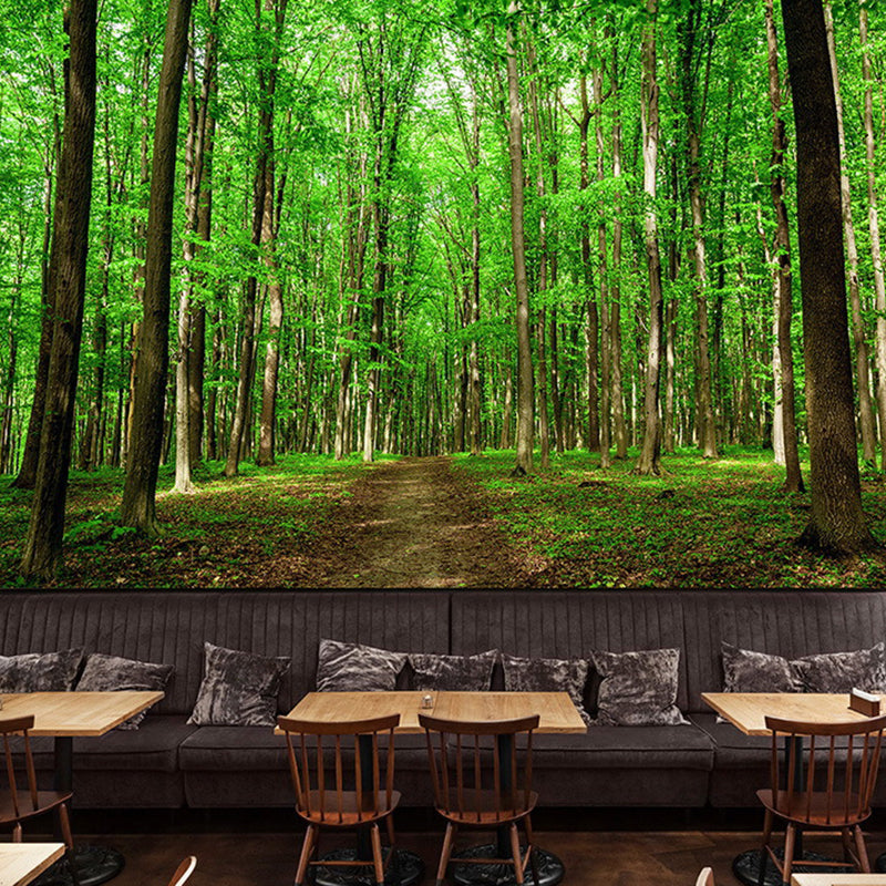 Tropical Jungle Mural Wallpaper for Meeting Room Decoration, Green, Custom Size Available