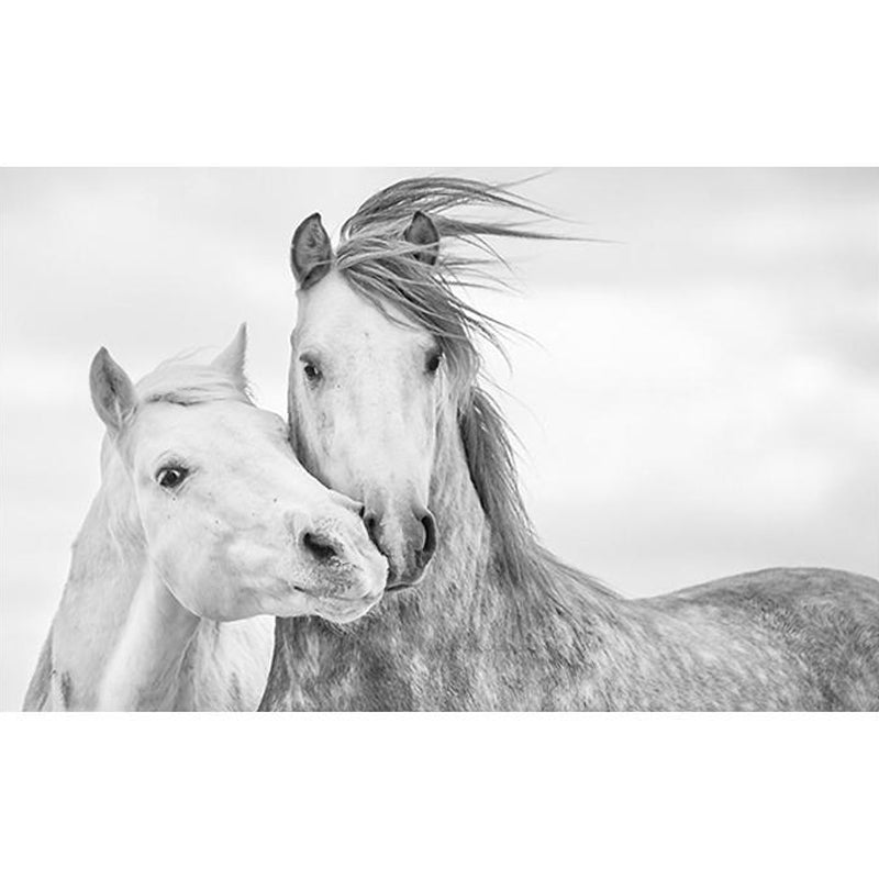 Whole Horse Wall Mural for Gallery Decoration Stain-Resistant Wall Art in Black and White, Made to Measure