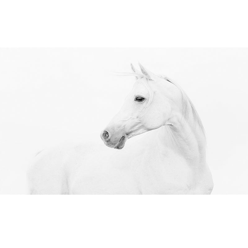 Custom Photography Simple Wall Mural for Living Room Decor with Horse Pattern in Black and White