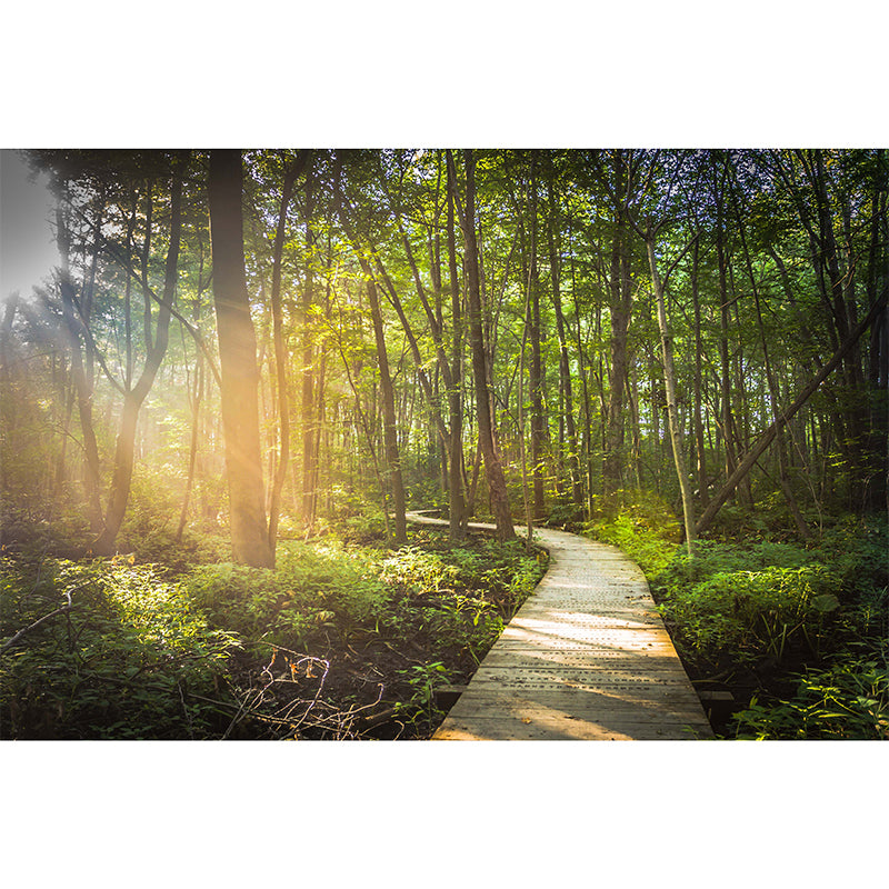 Stain-Resistant Leafy Pavement Mural Wallpaper Non-Woven Material Wall Art for Meeting Room