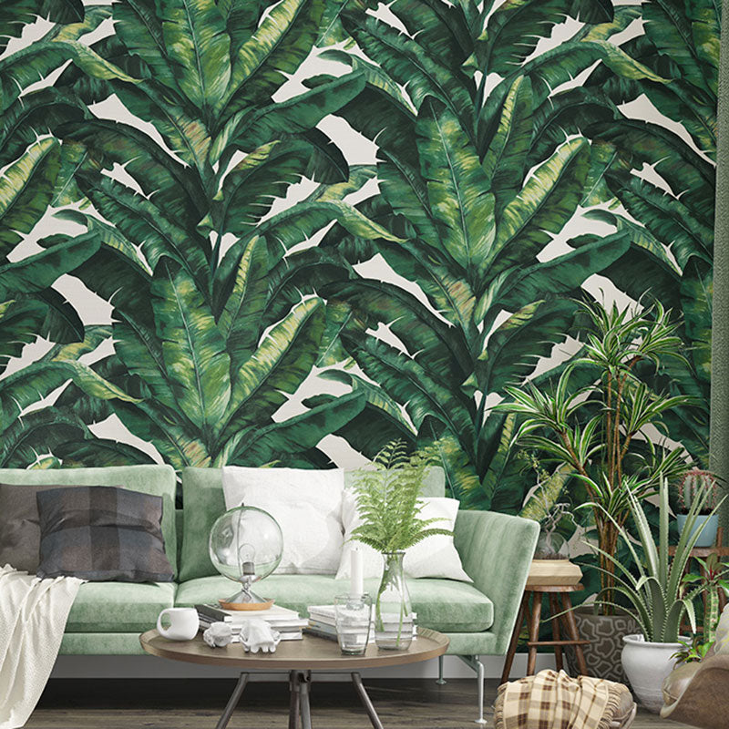 Tropical Banana Leaf Wall Covering for Accent Wall Contemporary Wallpaper, 33' by 20.5"