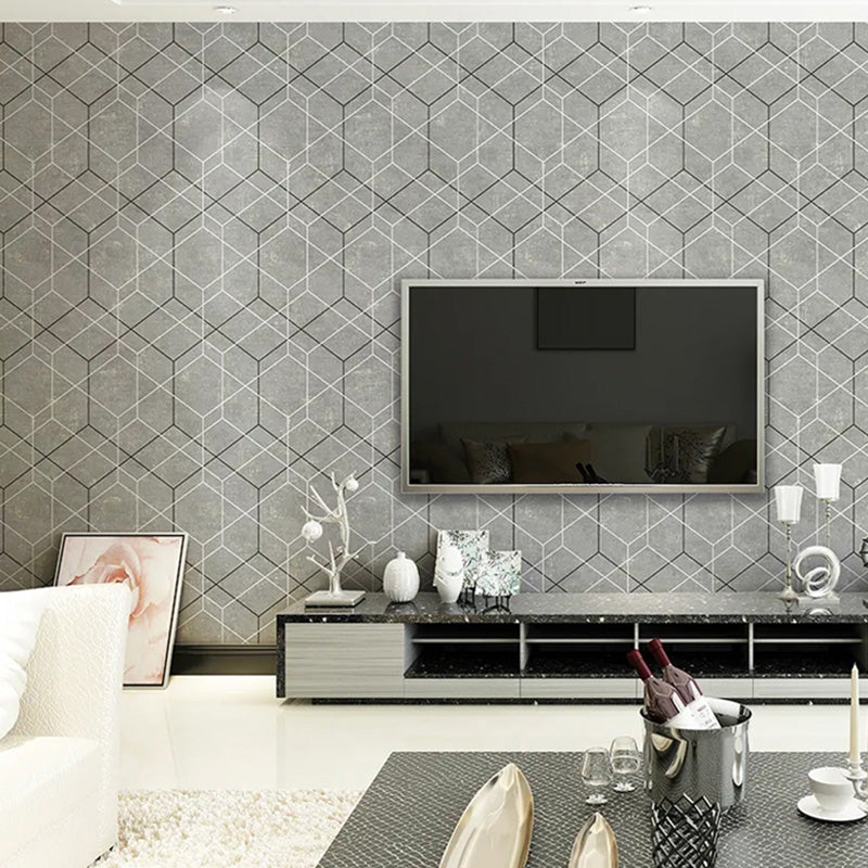 Grey Minimalist Wall Decor 20.5-inch x 31-foot Color Block Wallpaper for Living Room