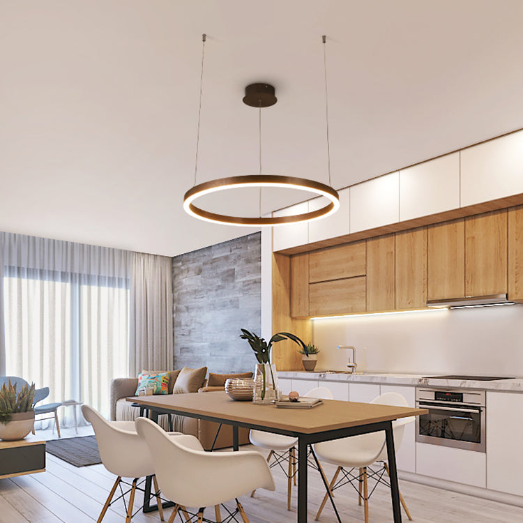 Luz de techo colgante moderna de 1/3 de luz con tono acrílico Café de araña redonda colgante en luz cálida/blanca