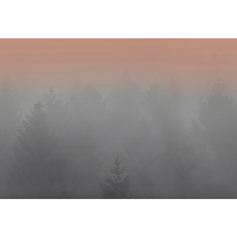 Misty Forest Morning Murals Grey and Orange Contemporary Wall Art for Home Decor