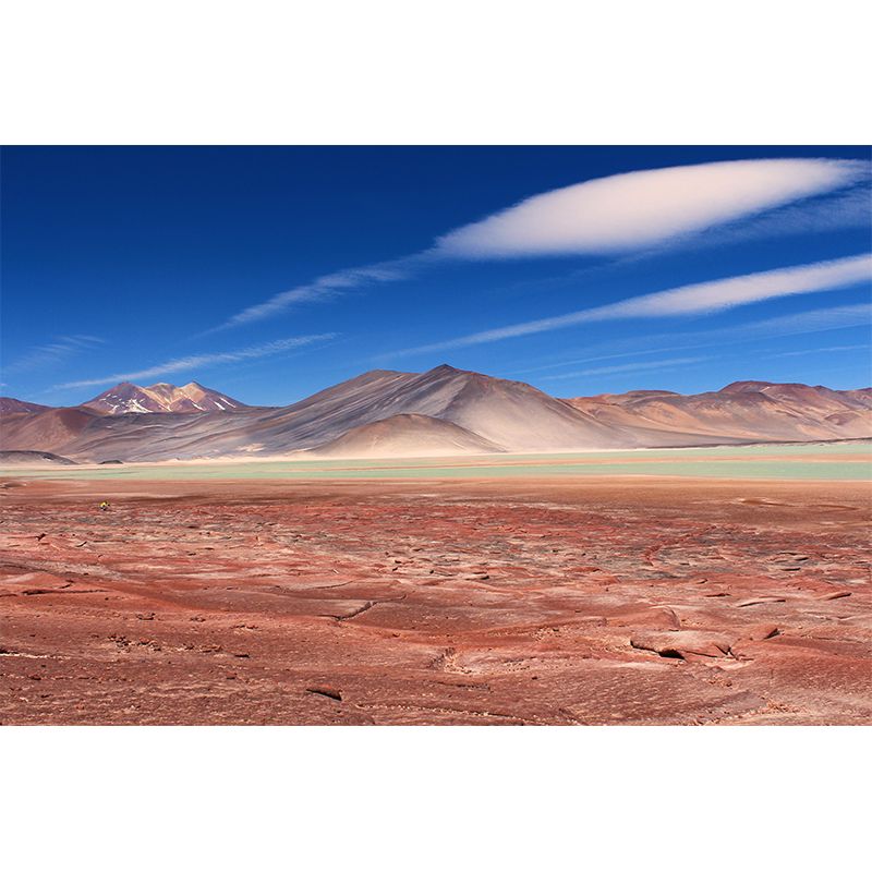 Contemporary Photography Style Desert Mural Wallpaper Mildew Resistant for Home