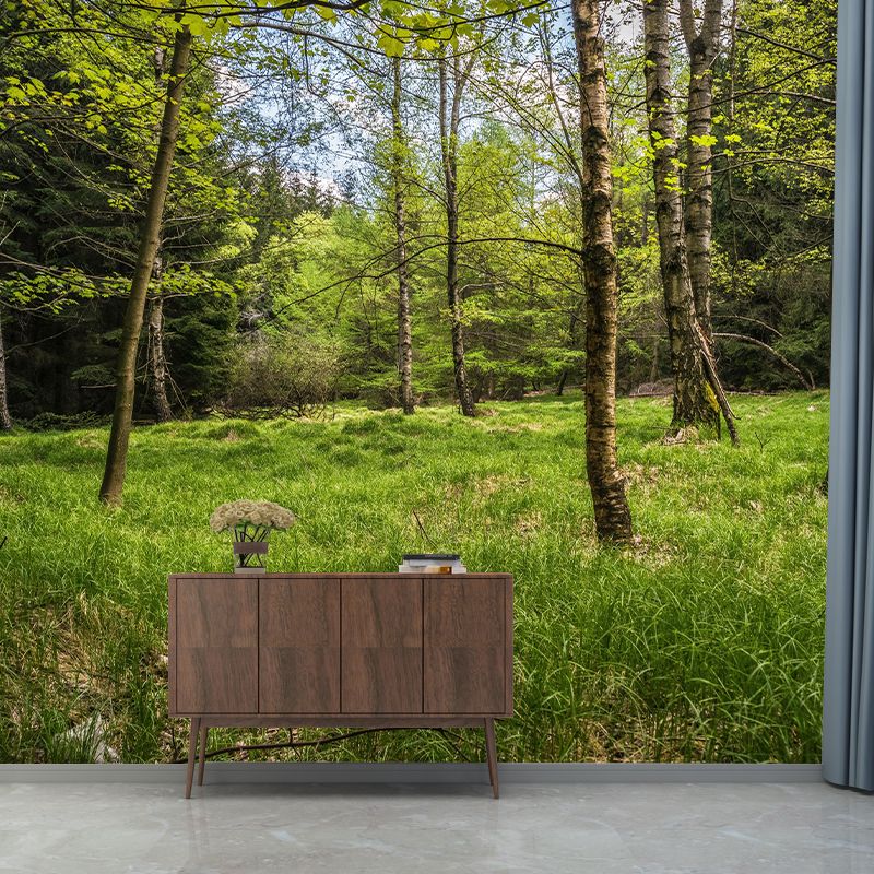 Contemporary Forest Mural Wallpaper Decorative Mildew Resistant Wall Covering