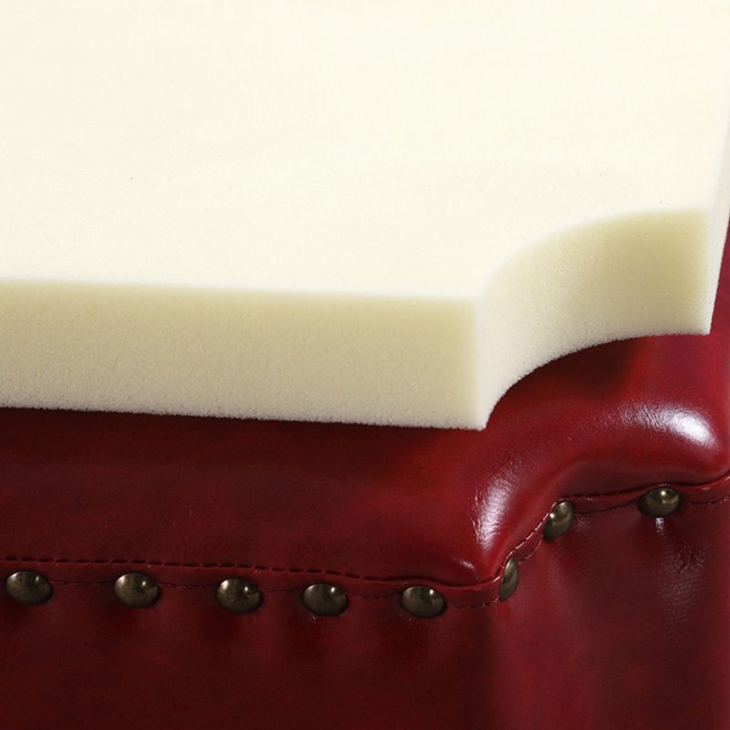 Dark Brown Modern Standard Leather Stain Resistant Rectangle Indoor Standard