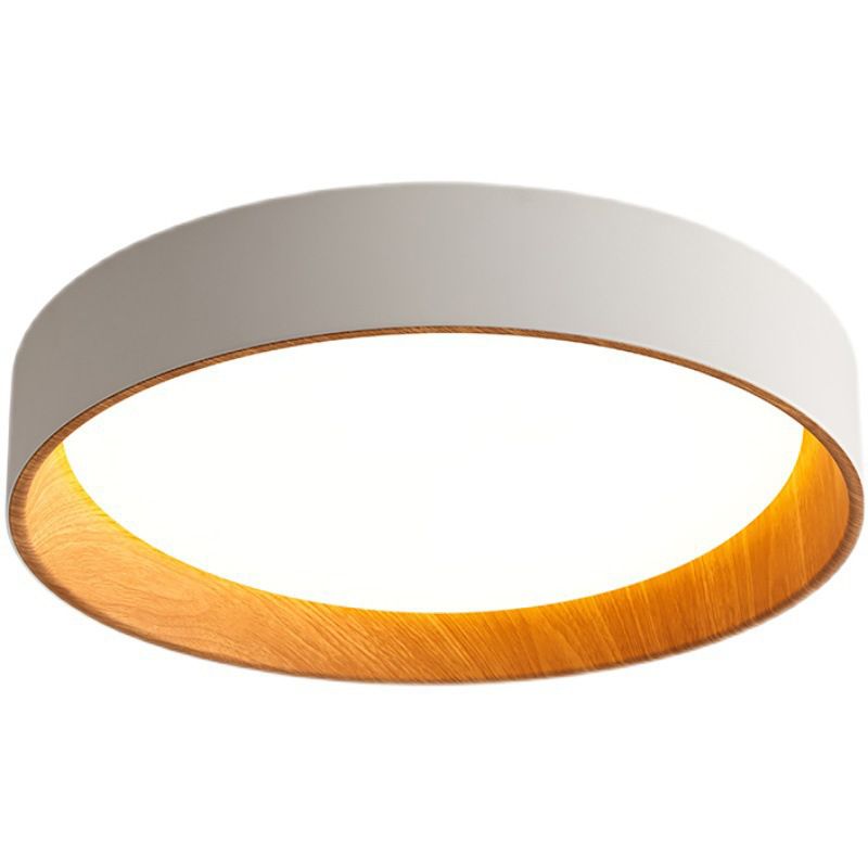 Acrylic White LED Flush Mount in Modern Concise Style Wrought Iron Circular Ceiling Fixture