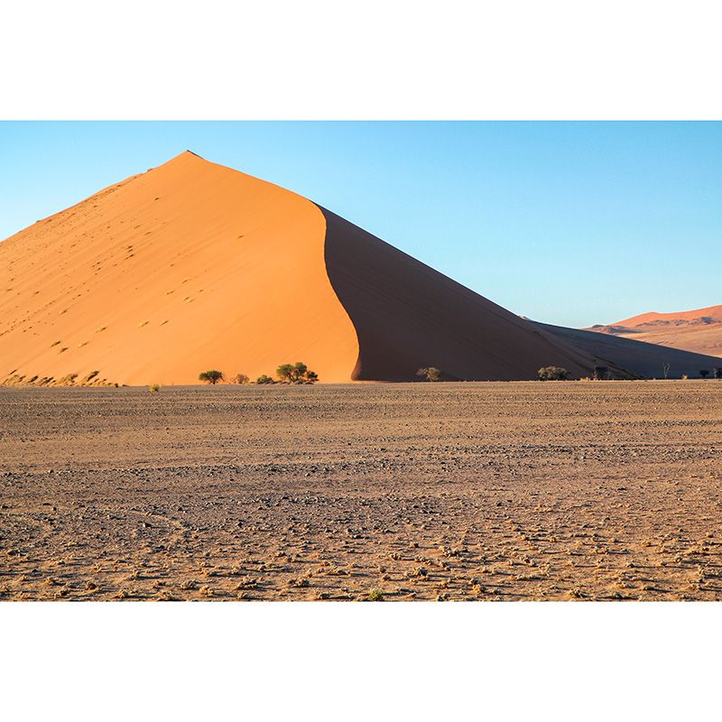 Desert Nature Landscape Modernism Wall Decor for Living Room Moisture Resistant