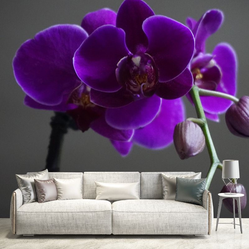 Orchid Mural Wallpaper Modernism Wall Art for Home, Personalized Size Available