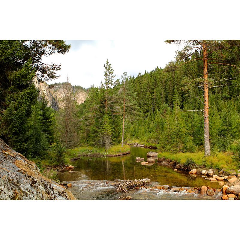 Living Room Wall Mural Modern Forest Decorative Eco-friendly Wall Covering