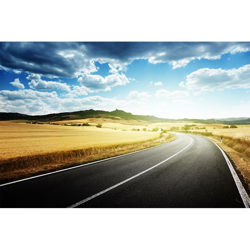 Quiet Roadway Scenery Mural Decal for Dining Room Summer Wall Covering, Customised