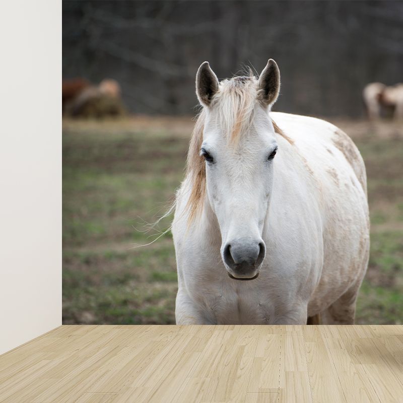 Customized White Horse Mural Decal for Kitchen Animals Wall Art in Soft Color