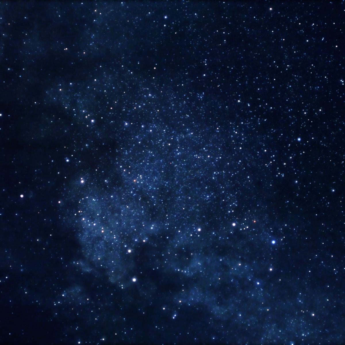 Night Sky Constellations Mural Decal Contemporary Non-Woven Texture Wall Covering in Blue