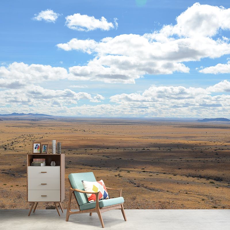 Customized Desert Wall Mural Contemporary Photography for Kitchen Living Room