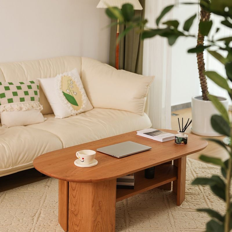 23" Wide Contemporary Coffee Table Solid Wood Coffee Cocktail Table with Storage