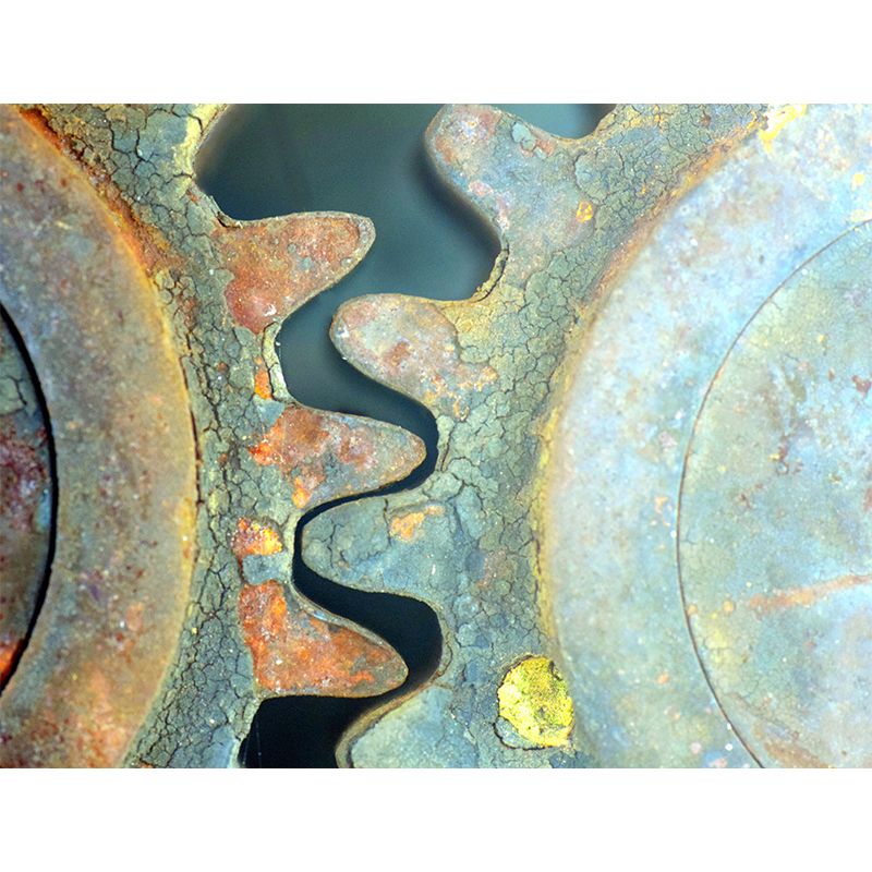 Mildew Resistant Metal Mural Decorative Wall Art for Decoration