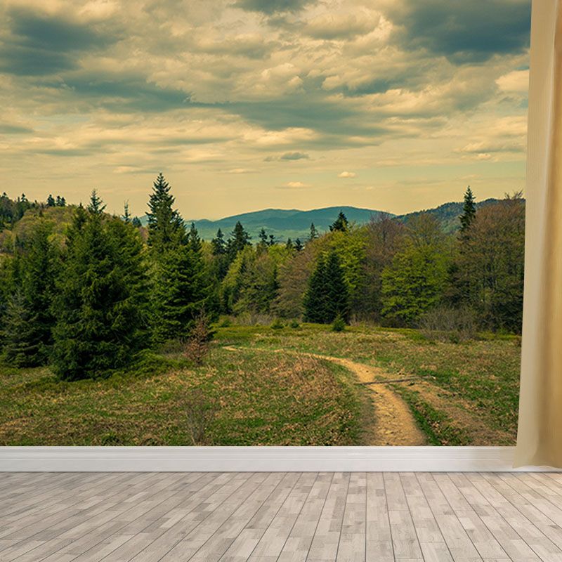 Forest 3D Print Contemporary Mural Horizontal Photography Bedroom Wall Mural