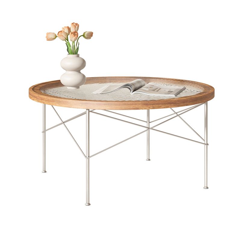 15"H Tropical Coffee Table Glass 4 Legs Coffee Cocktail Table