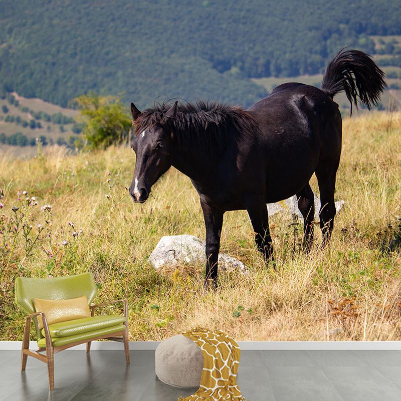 Customized Horse Wall Mural Wallpaper Horizontal Photography for Sitting Room