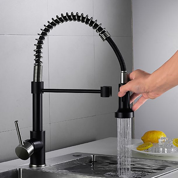 Farmhouse Spring Spout Kitchen Faucet Spring Tube High Arch Water Filler