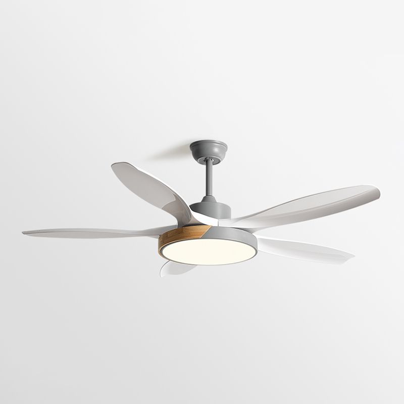 1 - Light Ceiling Fan Light Minimalist Metal and Acrylic Fan Light Ceiling