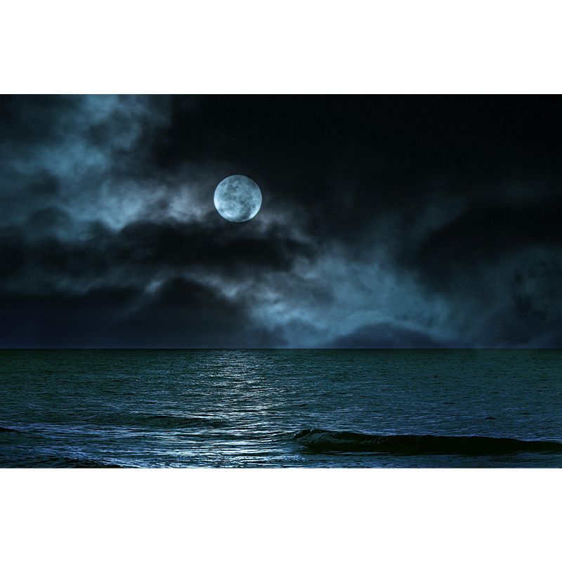 Full Moon View Wallpaper Mural Moisture Resistant Wall Covering for Accent Wall