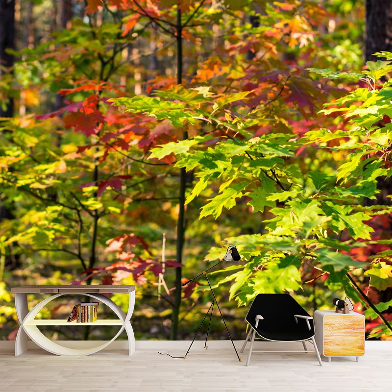 Forest Wall Paper Murals Moisture Resistant Wall Decor for Sleeping Room