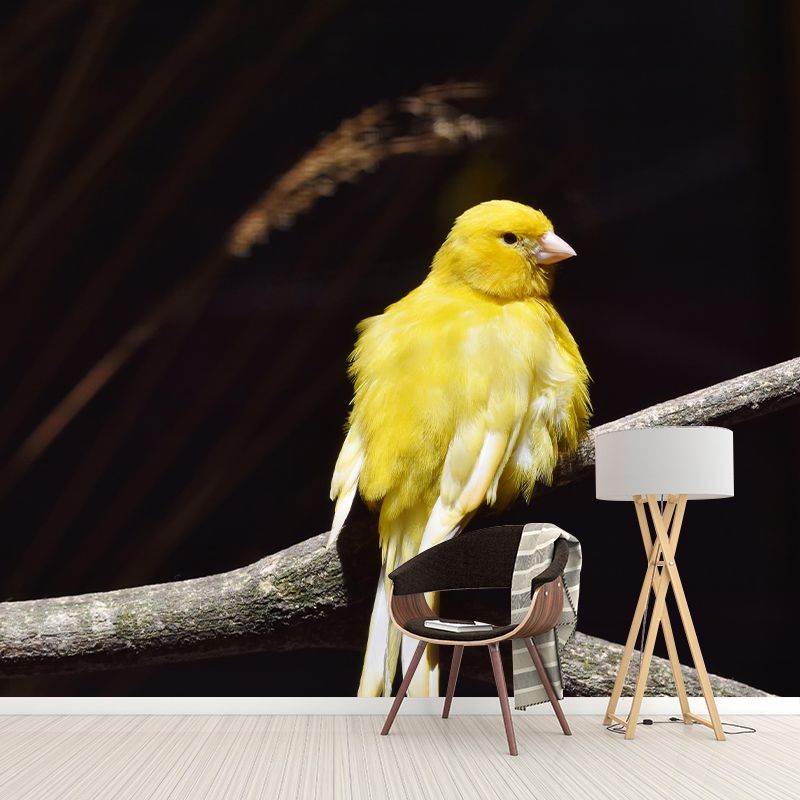 Canary Contemporary Wall Mural Modernist Wall Covering for Bedroom Decor