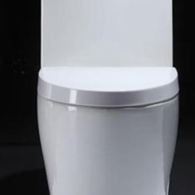 Contemporary Floor Mounted Toilet Seat Included Toilet Bowl for Bathroom