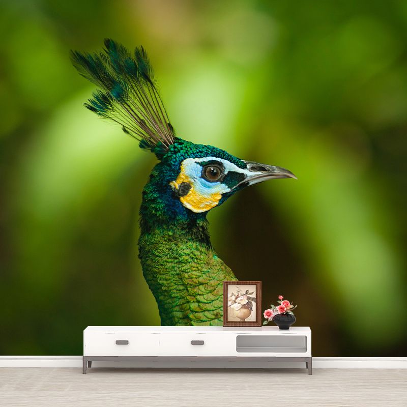 Peacock Customized Contemporary Style Mural Water Resistant for Living Room